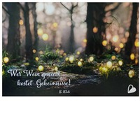 Wein heißt Geheimnisse kosten