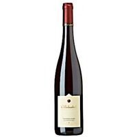 Spätburgunder im Sonnenschein