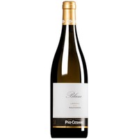 "Blanc" Sauvignon Bianco Langhe DOC