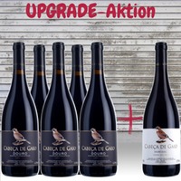 5x Cabeça de Gaio + 1x Cabeça de Gaio RESERVA (6x 0,75 l