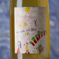 Anna Serra La Noia del Bosc