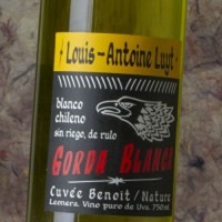 Louis Antoine Luyt Gorda Blanca Cuvée Benoït Nature