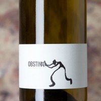 Joan Rubió Obstinat