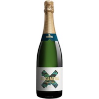 El Xamfrà Cava Brut Nature Reserva Spanien Cava Sehr Trocken