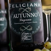 Lugana Autunno