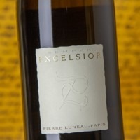 Luneau Papin Excelsior