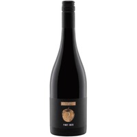"Hälde" Pinot Noir trocken - Weingut Holzapfel