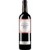 Mas Martinet Martinet Bru Priorat DOQ 