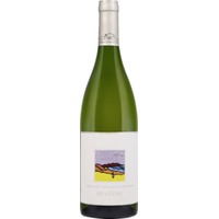 Springfontein Jils Dune 0.75 l Stellenbosch Weisswein