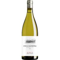 Mustiguillo - Finca Calvestra