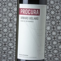 Susana Esteban Procura Vinhas Velhas Tinto