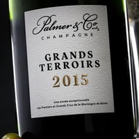 Champagner Grands Terroirs Brut
