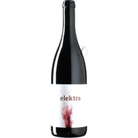 Blaufränkisch Elektra