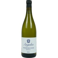 Angulus Rheingau Weißburgunder