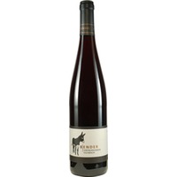 Spätburgunder trocken - Weingut Michael Bender