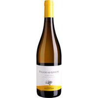 Argentiera: Poggio ai Ginepri Bianco IGT -