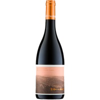 Carignan Vieilles Vignes