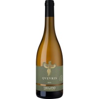 Qvevris Kisi, Amphorenwein, Georgien, Kakheti, 2022, Weißwein