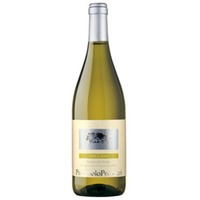 Friulano Friuli DOP 0,75l 12,5% - 2023/ PierPaolo Pecorari