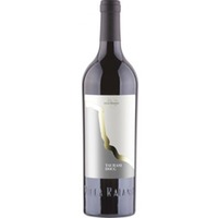 Taurasi DOCG - Villa Raiano