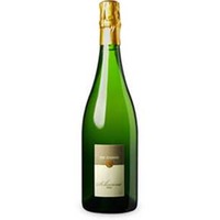 Schwane brut