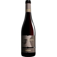 Castaño Santa Spanien Rotwein Trocken