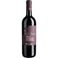 Merlot DOC Famiglia Bianchini