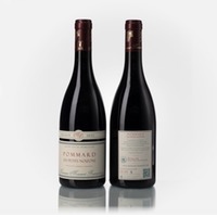 Pommard Les Petits Noizons