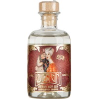 Kesselbrüder Klimt Wien Gin