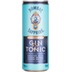 Bombay Sapphire & Tonic 