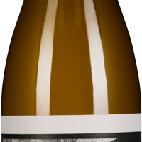 Miracle Bush White Piekenierskloof