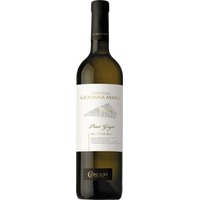 Concilio Selezione Contessa Manci Pinot Grigio Trentino DOC - - Trentino, Italien