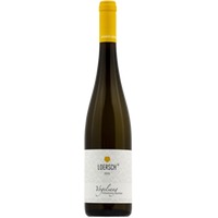 Weingut Alexander Loersch Riesling Trittenheimer Vogelsang Kabinett trocken - - Mosel-Saar-Ruwer, Deutschland