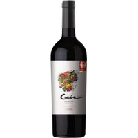 Domaine Bousquet Gaïa Malbec Tupungato Valley MO - - Mendoza, Argentinien