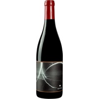 Kolfok Glimmerschiefer Blaufränkisch Ganze Traube - - Burgenland, Österreich