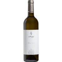 Azienda Agricola de Puppi Ribolla Gialla Venezia Giulia IGT - - Friaul, Italien