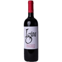 Gino Fasoli Igino Cabernet Veronese IGT - - Veneto, Italien
