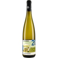 Weingut Immich-Batterieberg Riesling Ellergrub Grosse Lage trocken - - Mosel-Saar-Ruwer, Deutschland