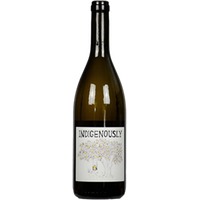 Indigenously Friulano Friuli DOC Vigna Lenuzza - - Friaul, Italien