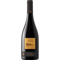 Montgras Antu Syrah Mountain Vineyard of Colchagua Valley - - Valle Central, Chile