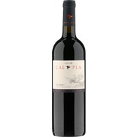 Celler Cal Pla/Joan Sangenis Cal Pla Porerra Tinto Priorat DOCa -
