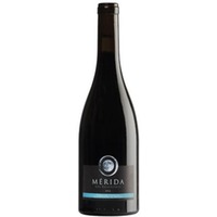 Pago los Balancines Ribera del Guadiana DO Merida - - Extremadura, Spanien