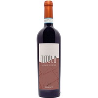 Elena Fucci Amphora Aglianico del Vulture DOP - - Basilikata, Italien