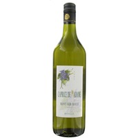 Bolle Mont-sur-Rolle AOC Caprice de Madame Terravin - - Waadt, Schweiz