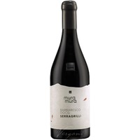 Barbaresco DOCG Serragrilli Mura Mura - - Piemont, Italien