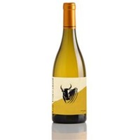 Michel Gassier Lou Coucardie blanc AOP Costieres de Nimes - - Frankreich