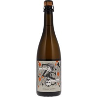 Weingut Zuschmann-Schöfmann Petillant Naturel Sauvignon Blanc Weinviertel DAC BIO - - Österreich