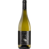 Santa Barbara Animale Celeste Sauvignon Blanc - - Marche, Italien