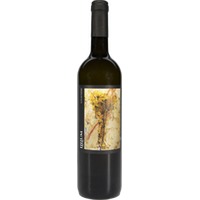 Vinattieri Lilium Bianco di Merlot Ticino DOC - - Tessin, Schweiz