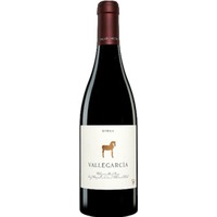 Pago de Vallegarcía Syrah Vino de Pago tinto Vallegarcía DOP - - Meseta, Spanien